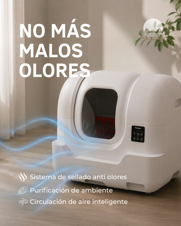 Publicación de Instagram 2
