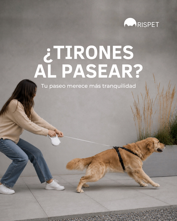 Publicación de Instagram 3